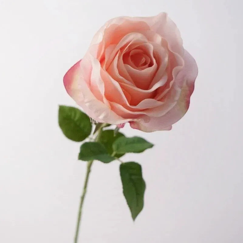 Real Touch Vendela Rose Stem  -26"