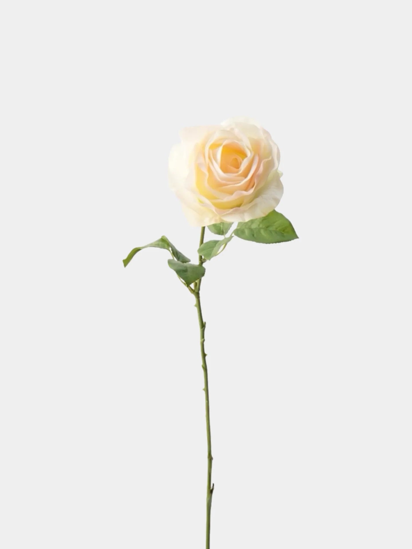 Real Touch Vendela Rose Stem  -26"