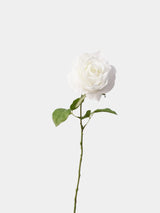 Real Touch Vendela Rose Stem  -26"