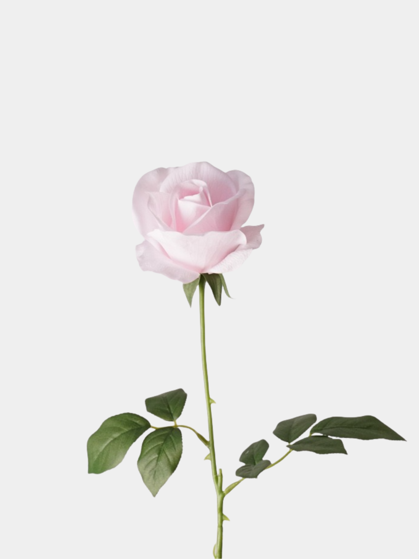 Real Touch Mondstein Rose – Hellrosa, 65 cm