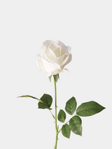 リアルタッチ ムーンストーン ローズ – ホワイト, 25.6"