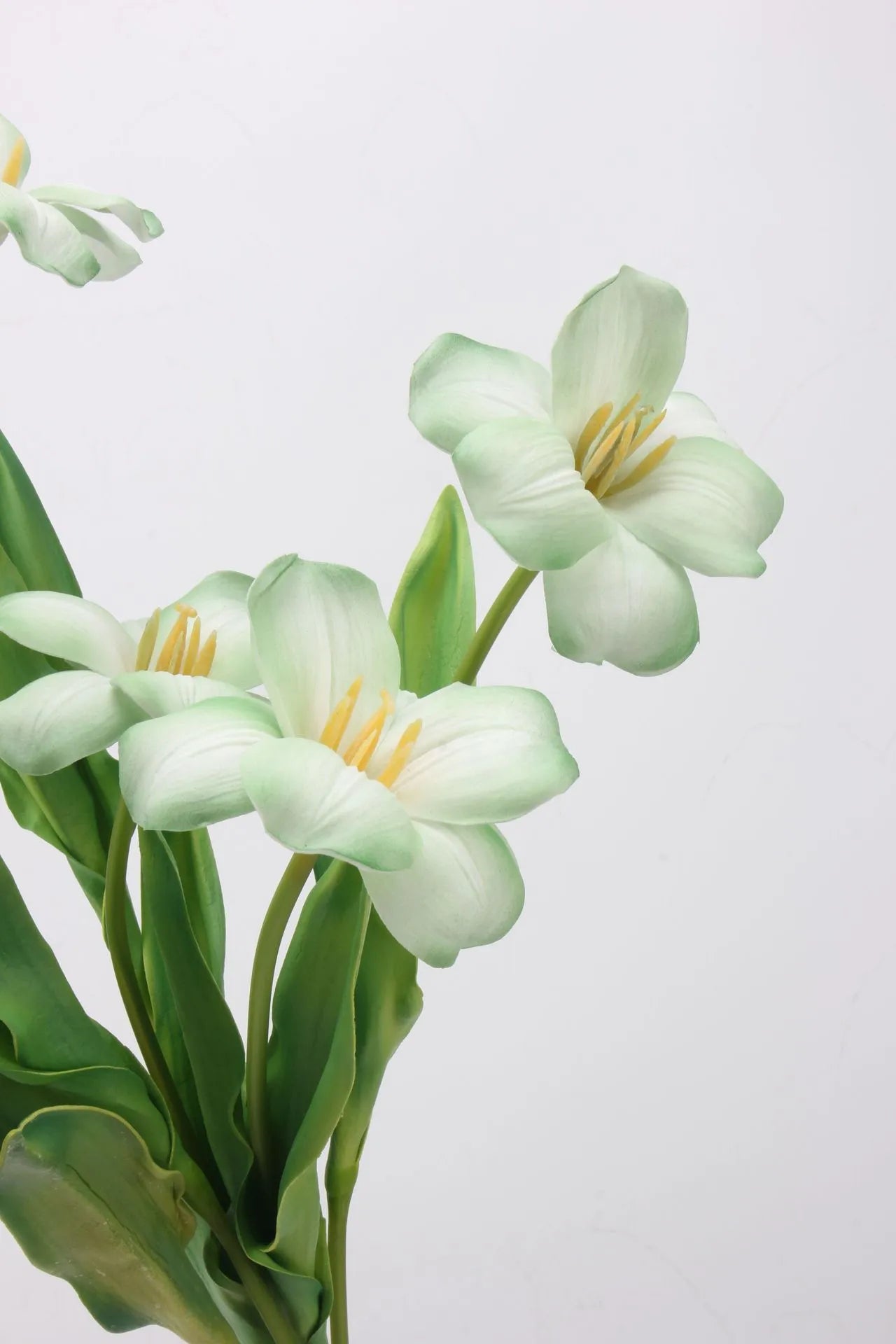 Real Touch Brownie Tulpenstiel – Weiß und Grün – 48 cm