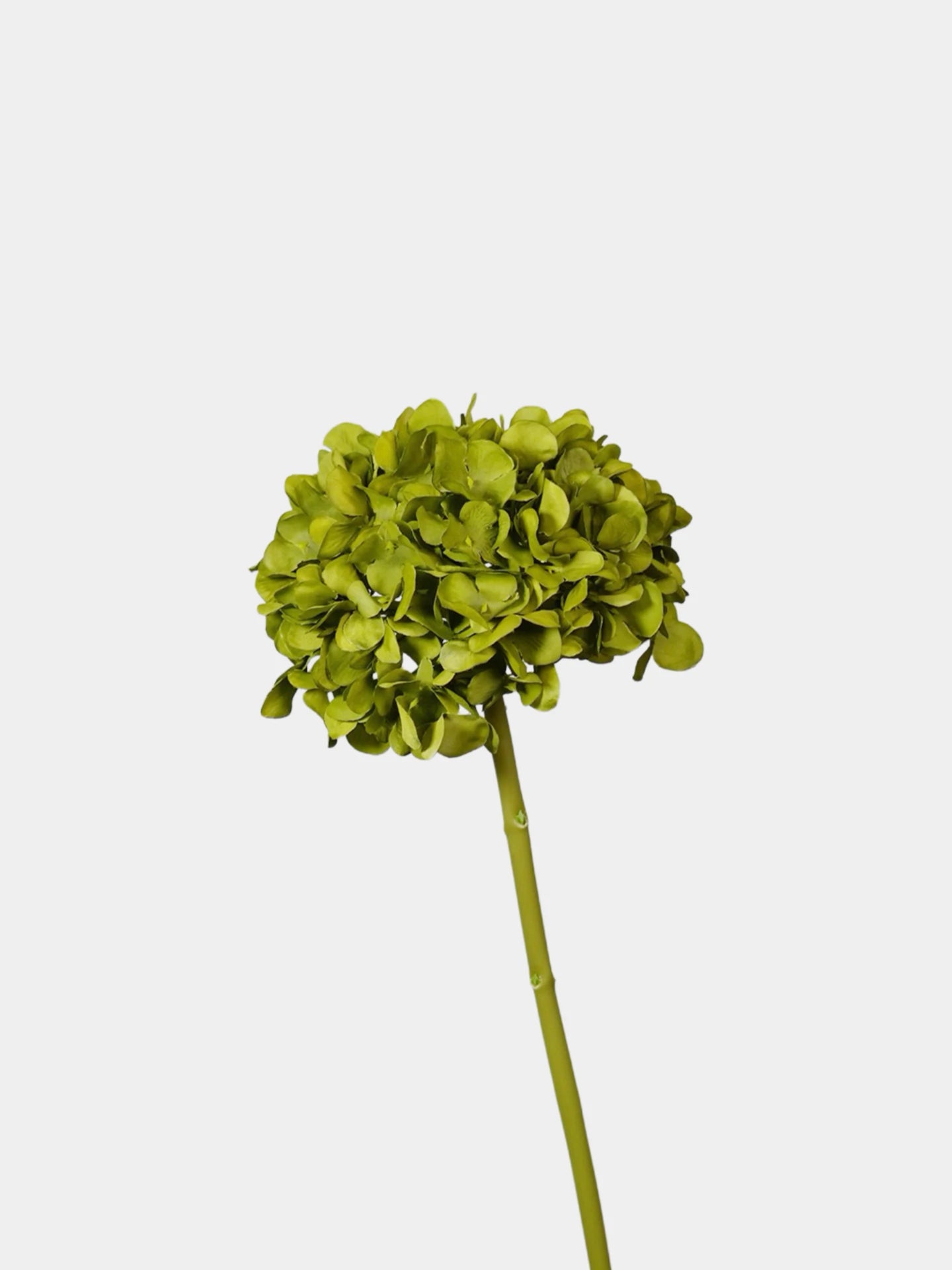 Hortensie Kunstblume „Real Touch“ – 45 cm