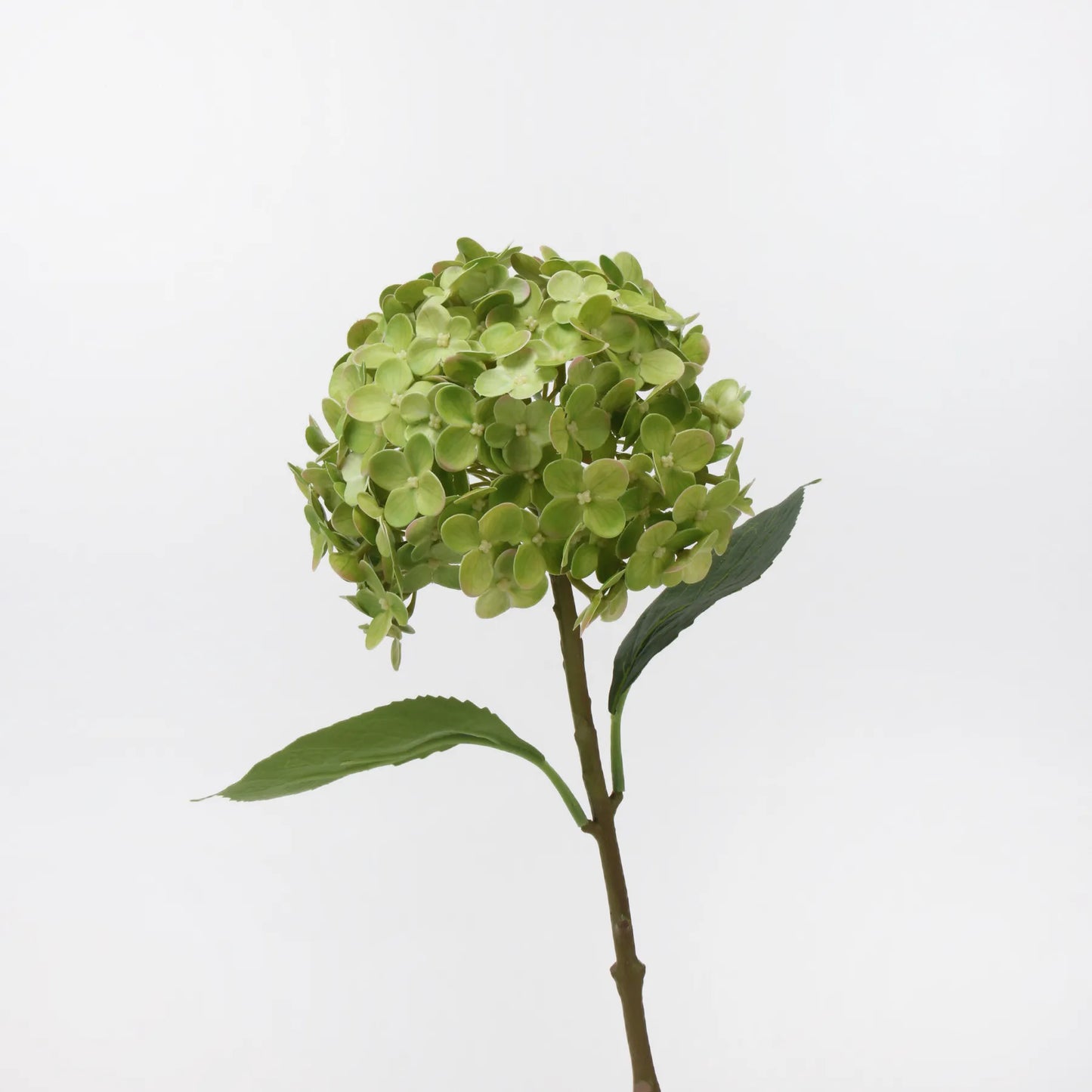Künstliche Hortensienblüte „Real Touch“ – Hellgrün, 50 cm