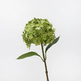 Künstliche Hortensienblüte „Real Touch“ – Hellgrün, 50 cm