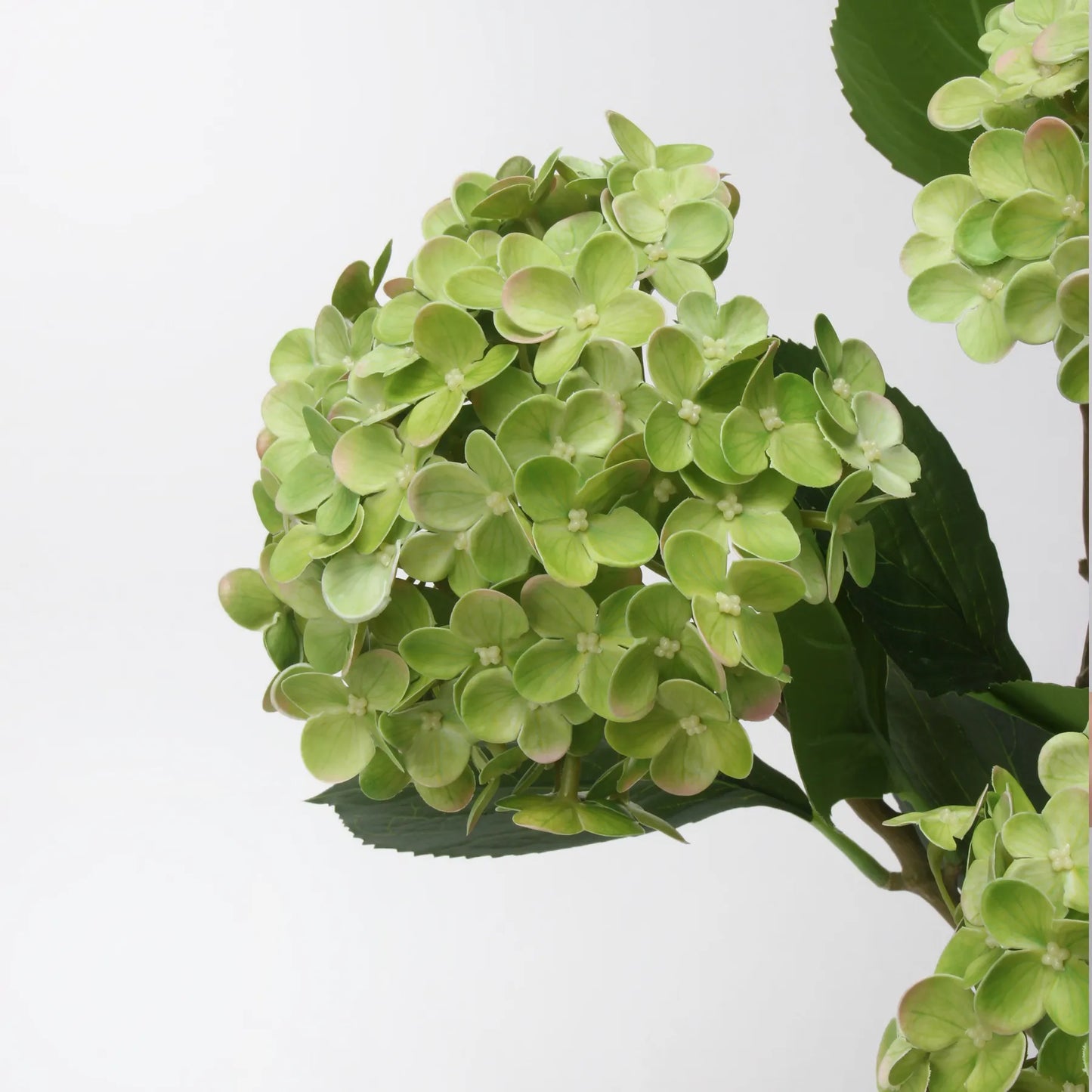 Künstliche Hortensienblüte „Real Touch“ – Hellgrün, 50 cm