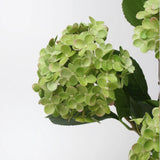 Künstliche Hortensienblüte „Real Touch“ – Hellgrün, 50 cm