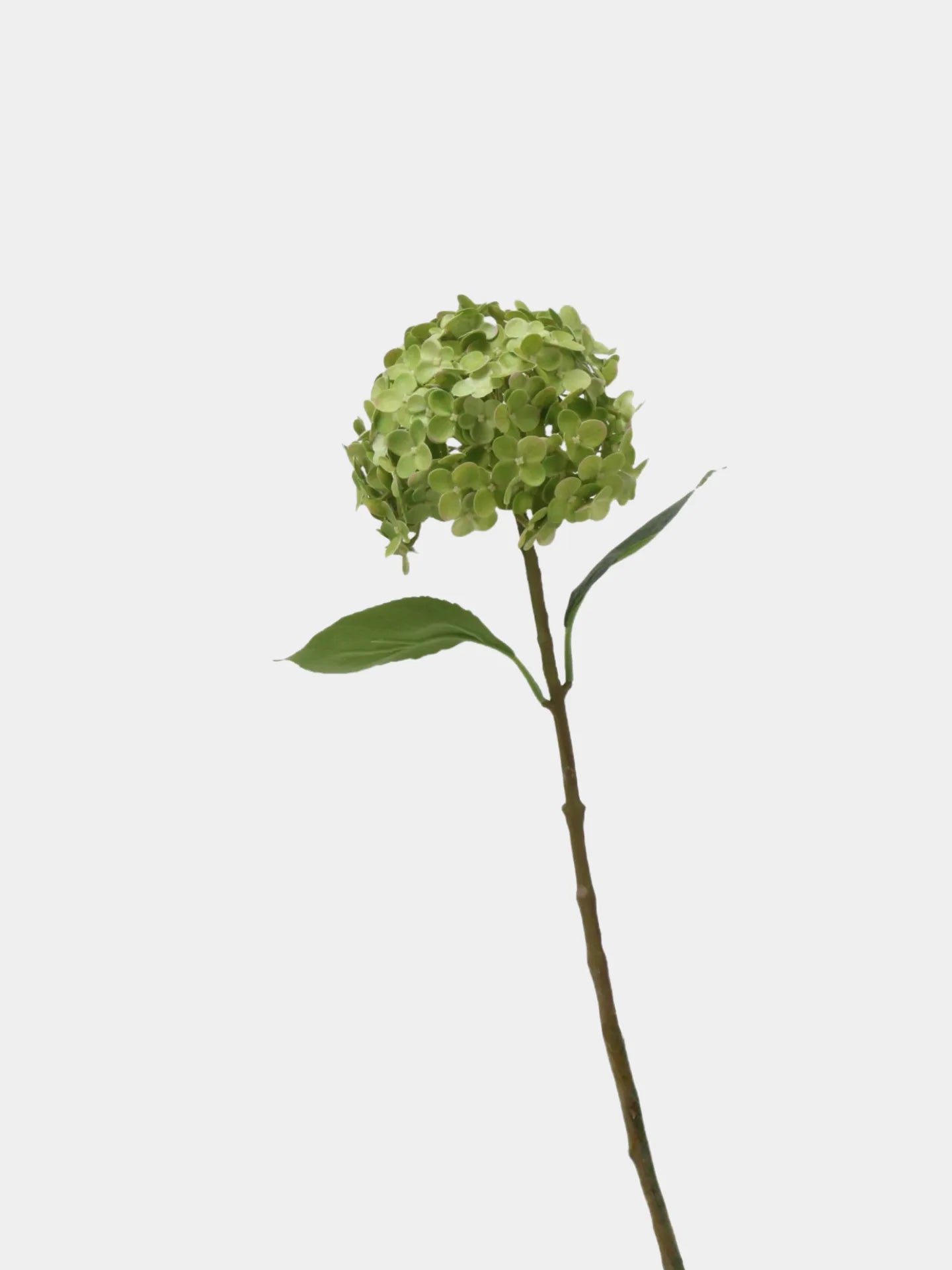 Künstliche Hortensienblüte „Real Touch“ – Hellgrün, 50 cm