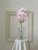 リアルタッチフェイク大きなバタフライオーキッドの花 – ピンク