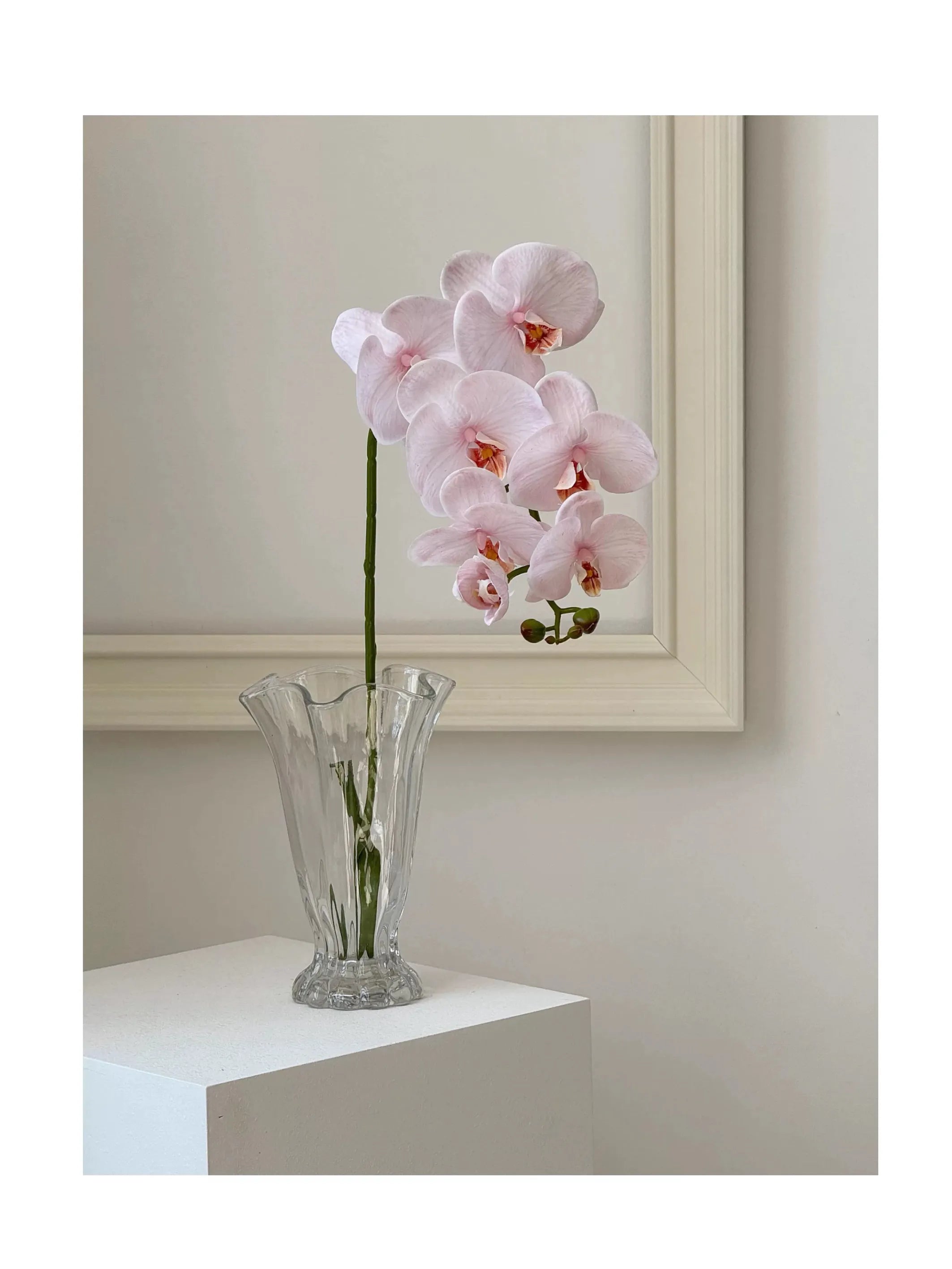 Real Touch Faux Large Butterfly Orchid Flower –Pink