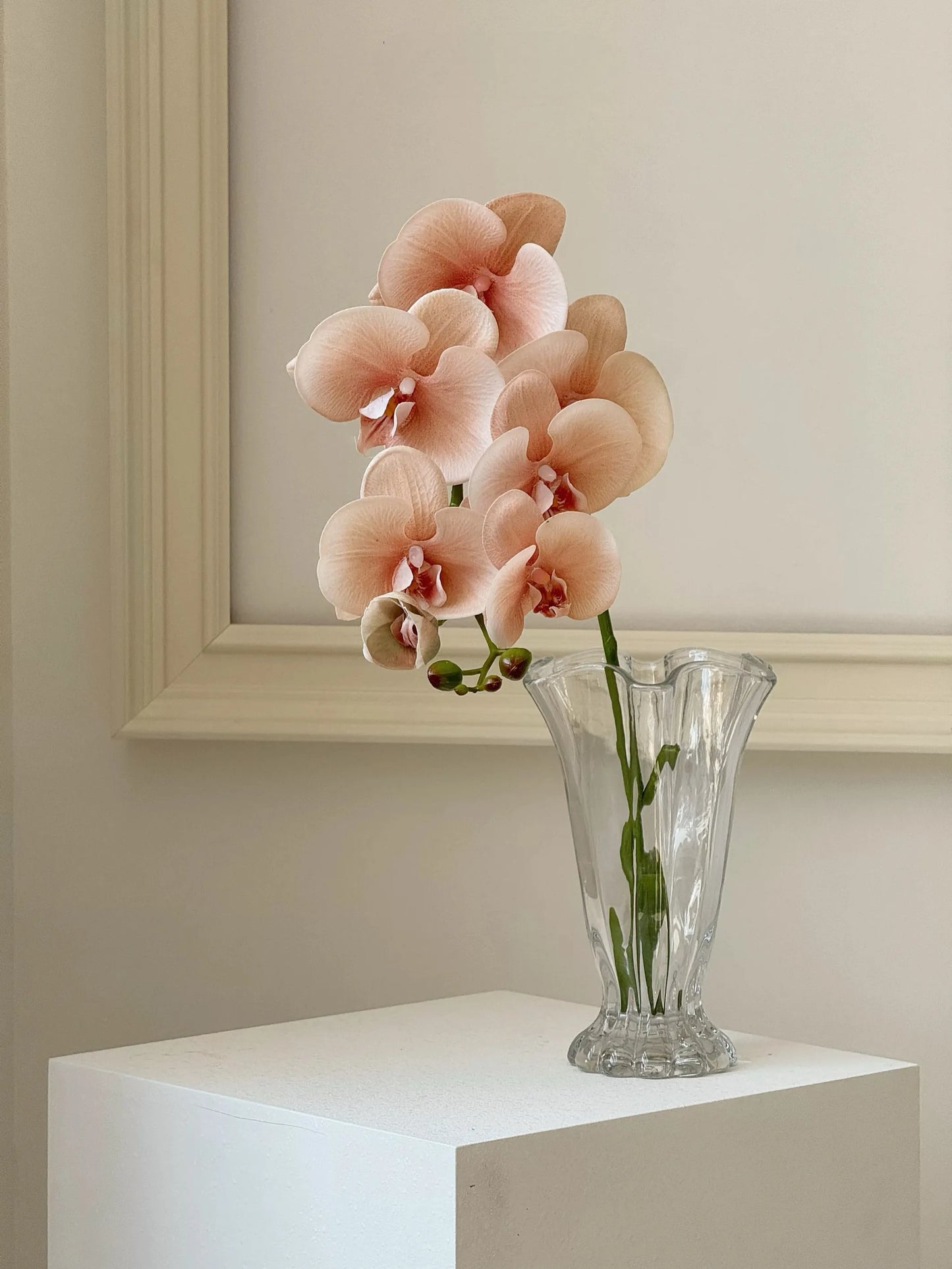 リアルタッチフェイク大きなバタフライオーキッドの花 – ピンク