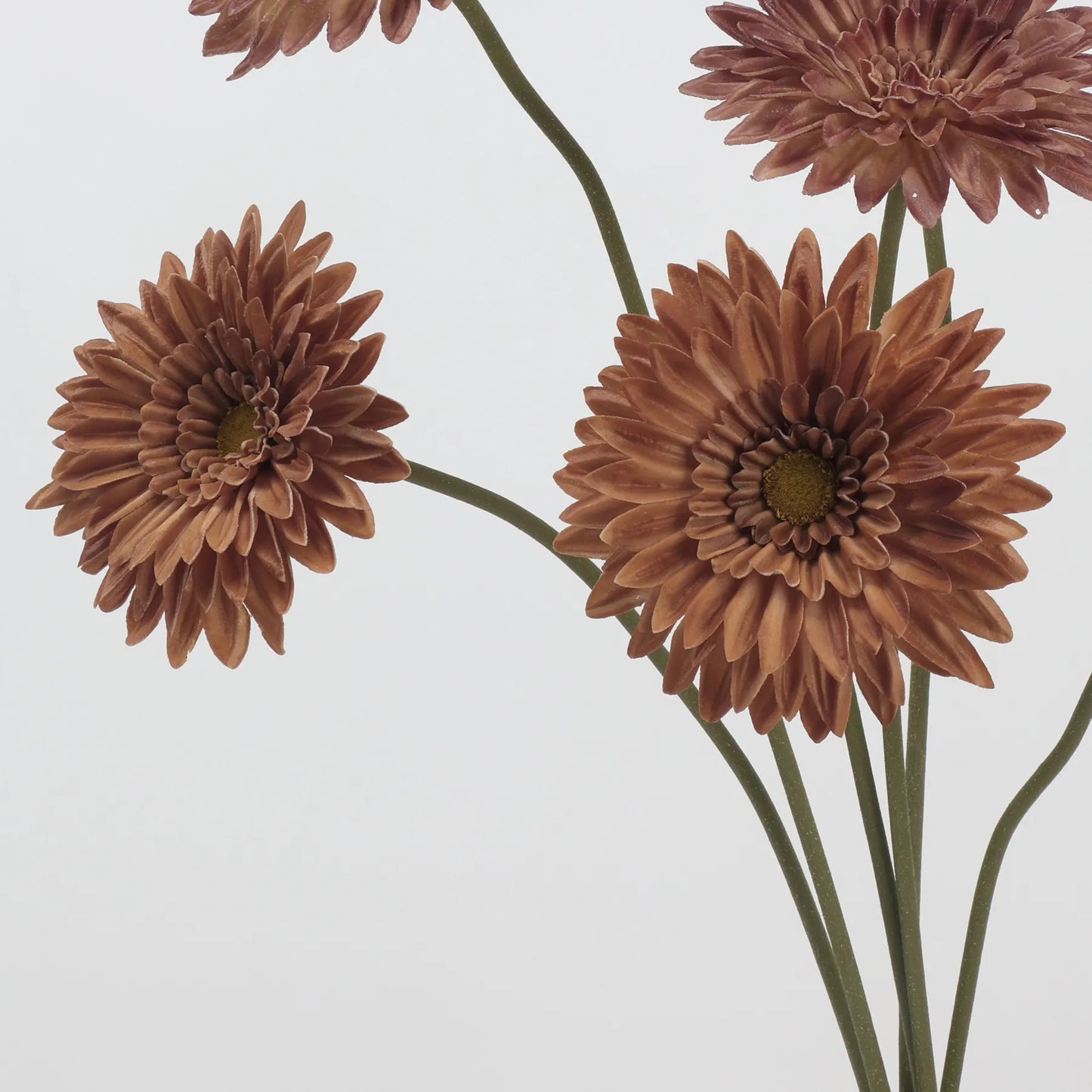 リアルタッチ ガーベラ デイジー フラワー – ブラウン 22"