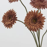 リアルタッチ ガーベラ デイジー フラワー – ブラウン 22"