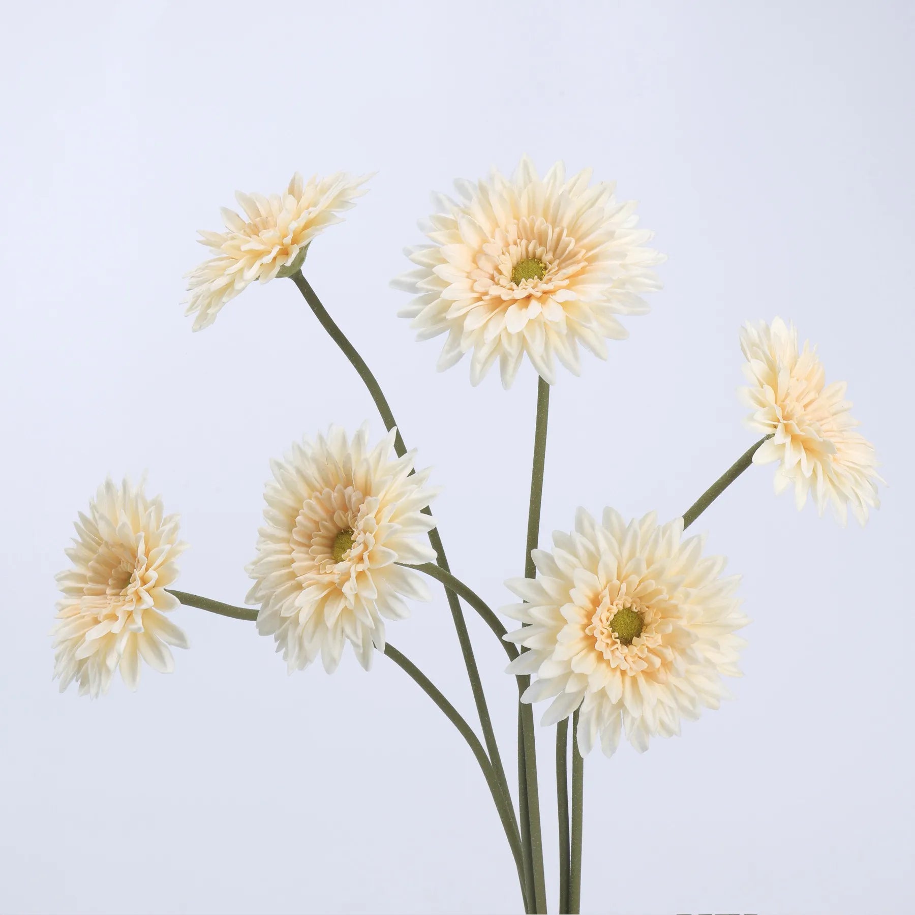 Real Touch Gerbera Daisy Flower –  Champagne 22"