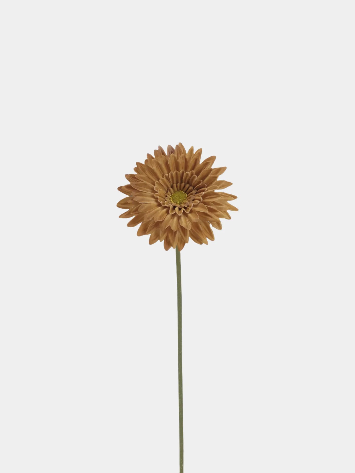 Real Touch Gerbera Daisy Flower – Light Brown 22"