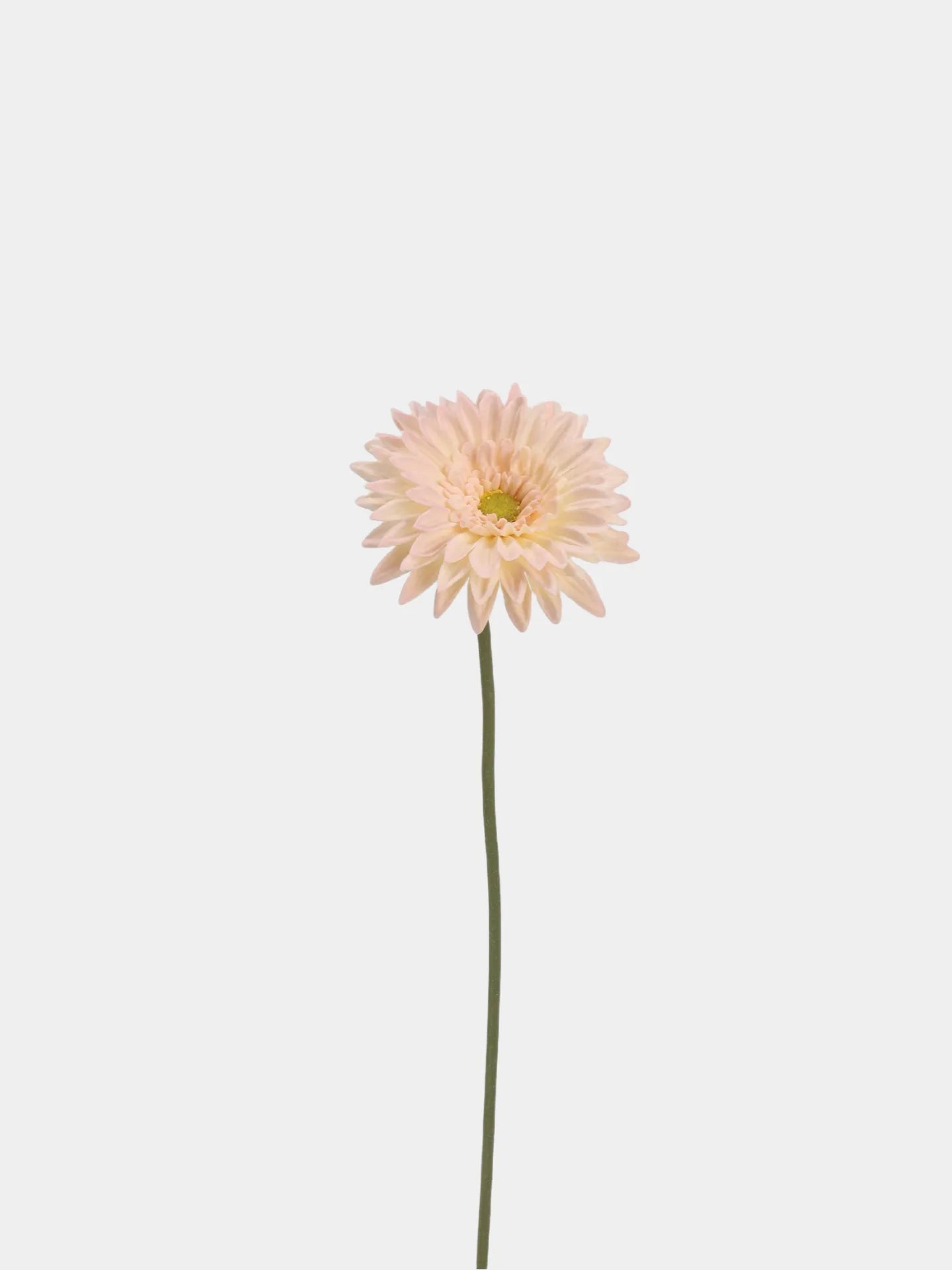 Real Touch Gerbera Daisy Flower –  Pink 22"