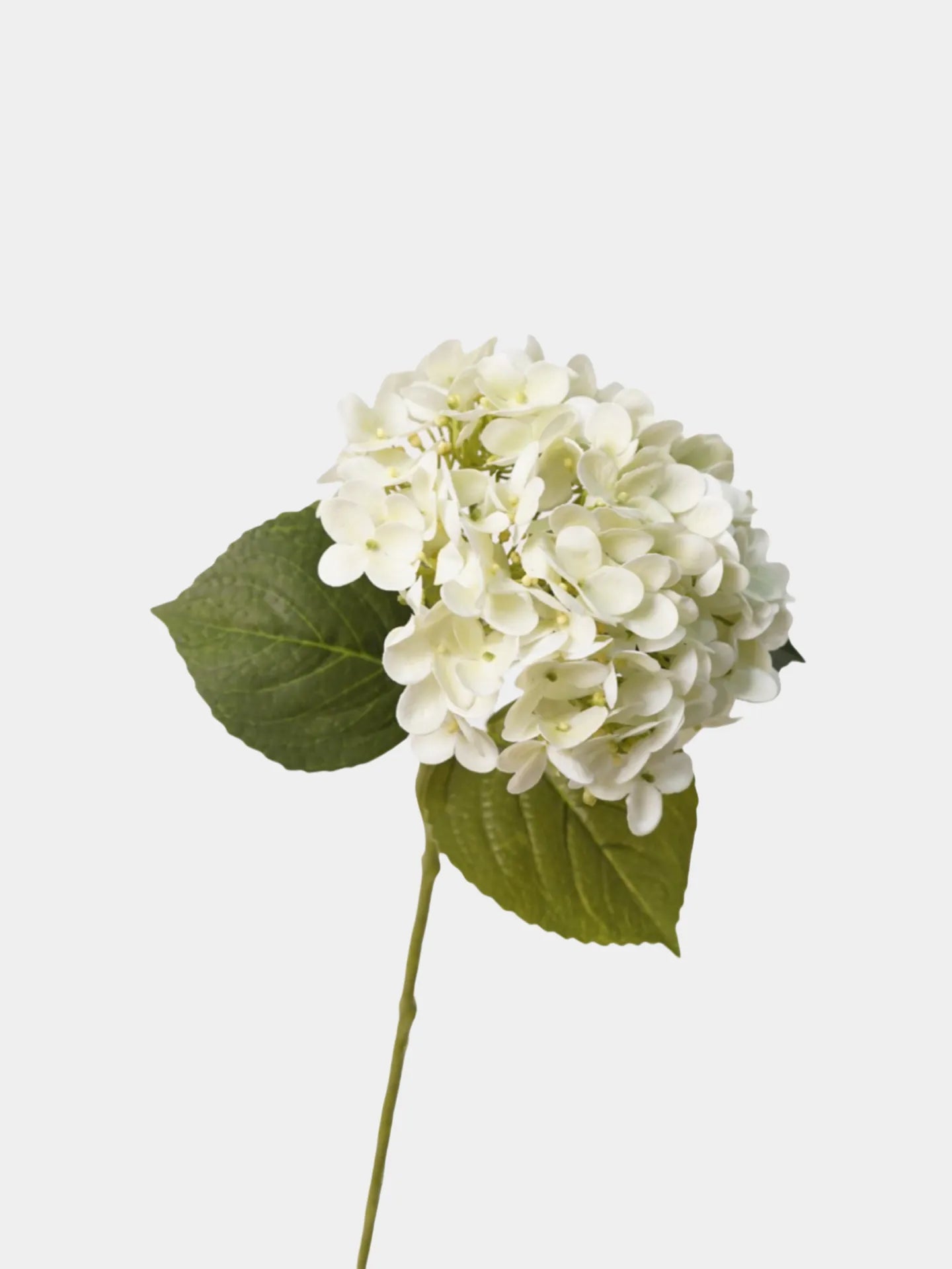 リアルタッチ フェイク アジサイ ステム - ホワイト 25"