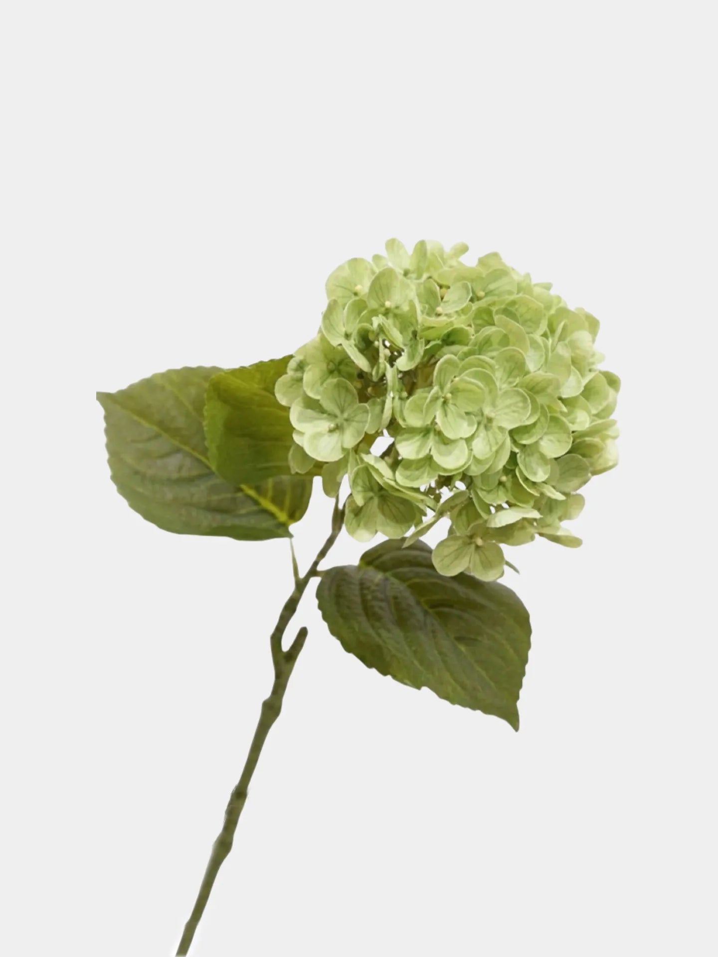 Künstlicher Hortensienstiel „Real Touch“ – Grün 63,5 cm
