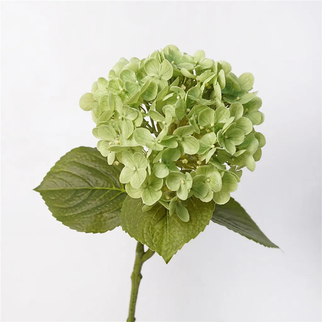 Künstlicher Hortensienstiel „Real Touch“ – Grün 63,5 cm