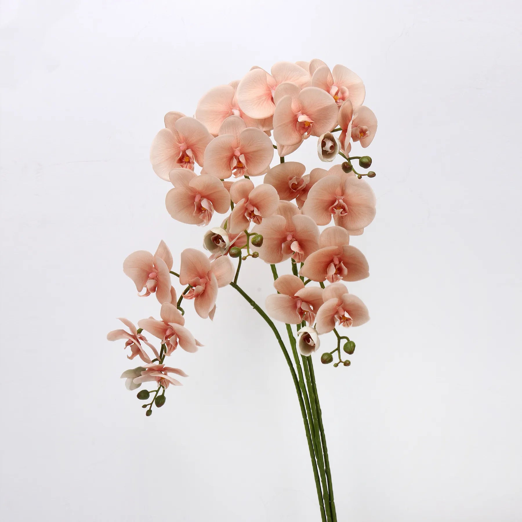 Real Touch Faux Large Butterfly Orchid Flower –Pink