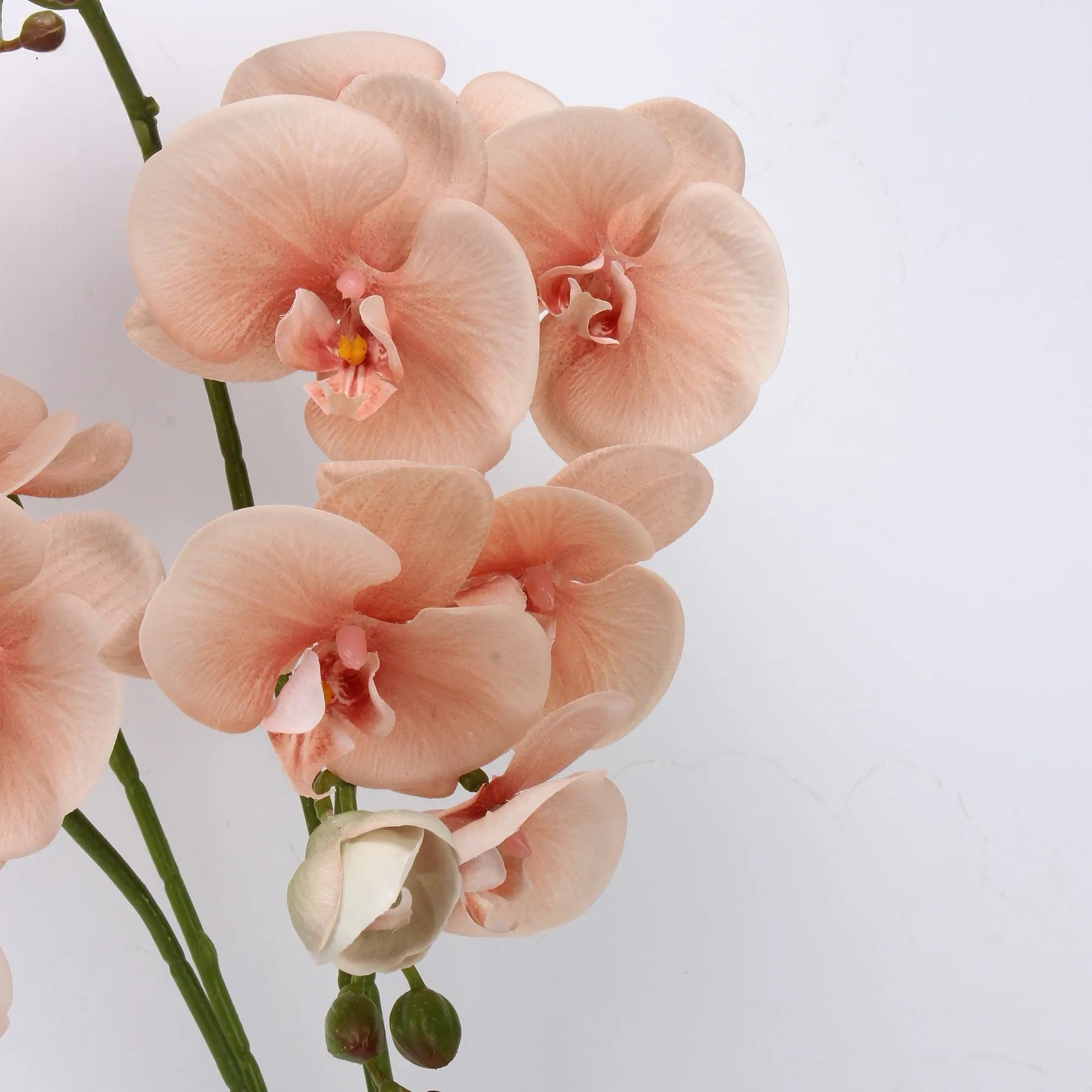 Real Touch Faux Large Butterfly Orchid Flower –Pink