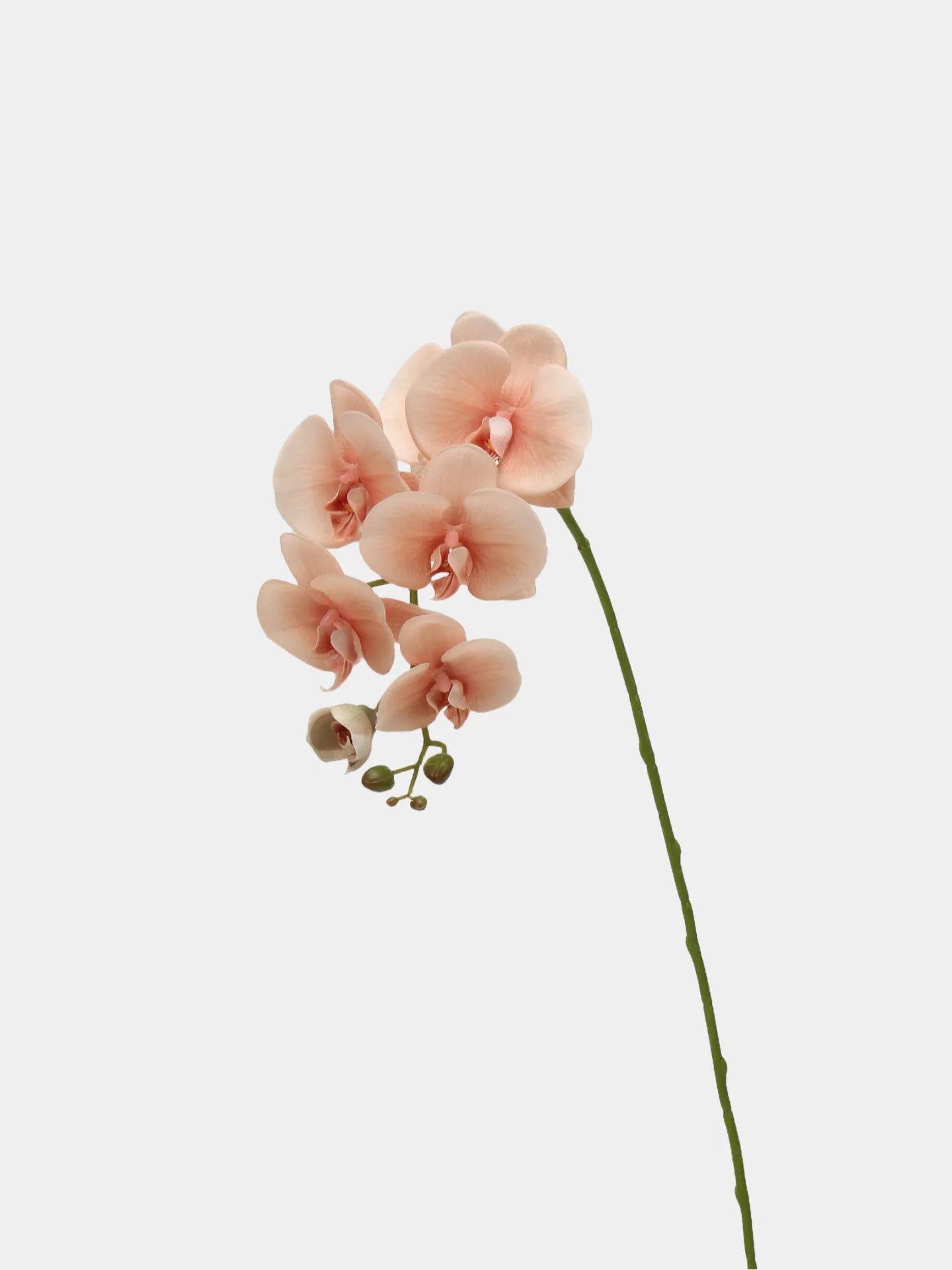 Real Touch Faux Large Butterfly Orchid Flower –Pink