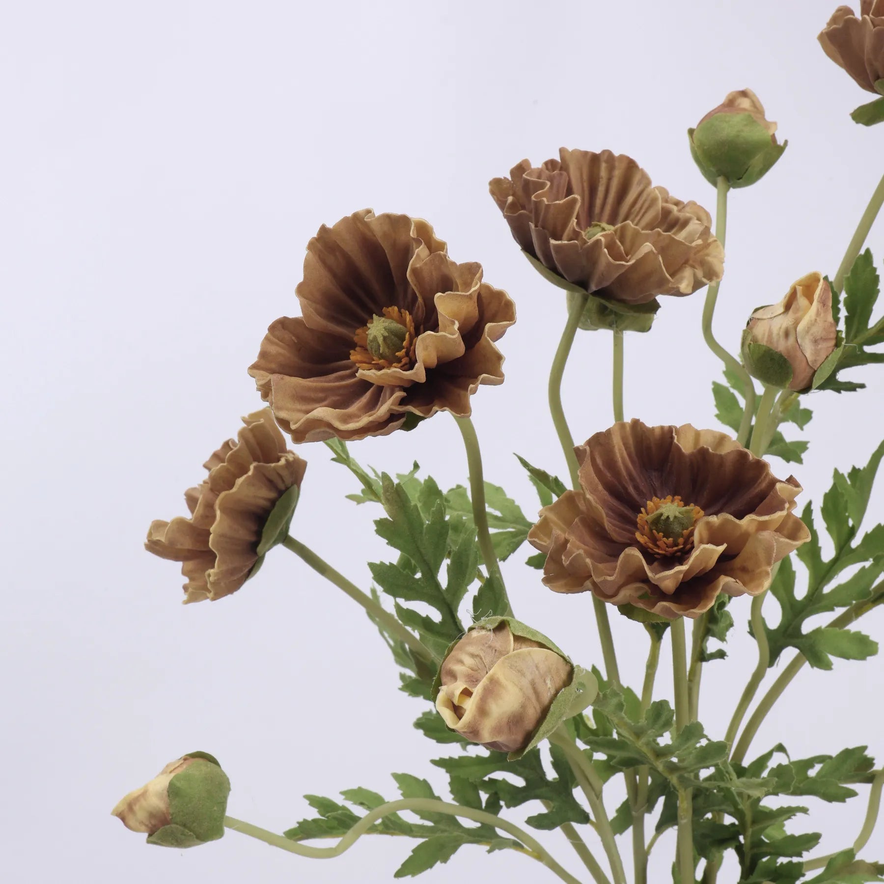 Real Touch Large Poppy Flower –Brown 22.4"