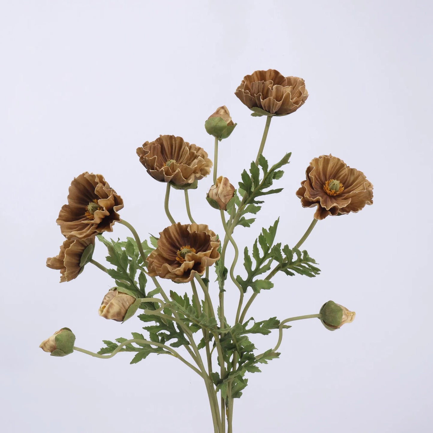 Real Touch Large Poppy Flower –Brown 22.4"