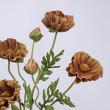 Real Touch Large Poppy Flower –Brown 22.4"