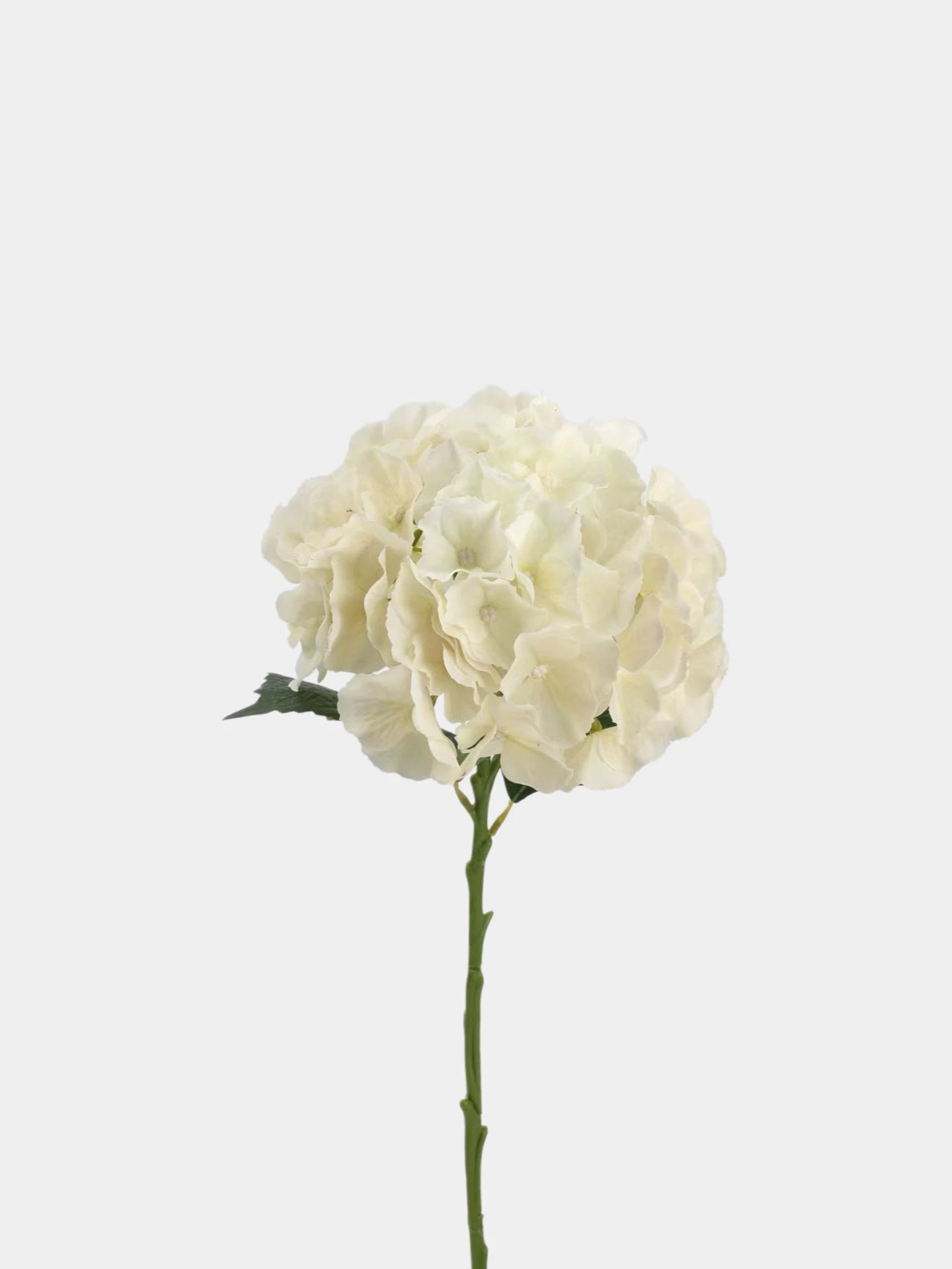 Real Touch Maillard Hydrangea Flower Stem – 20"/52cm