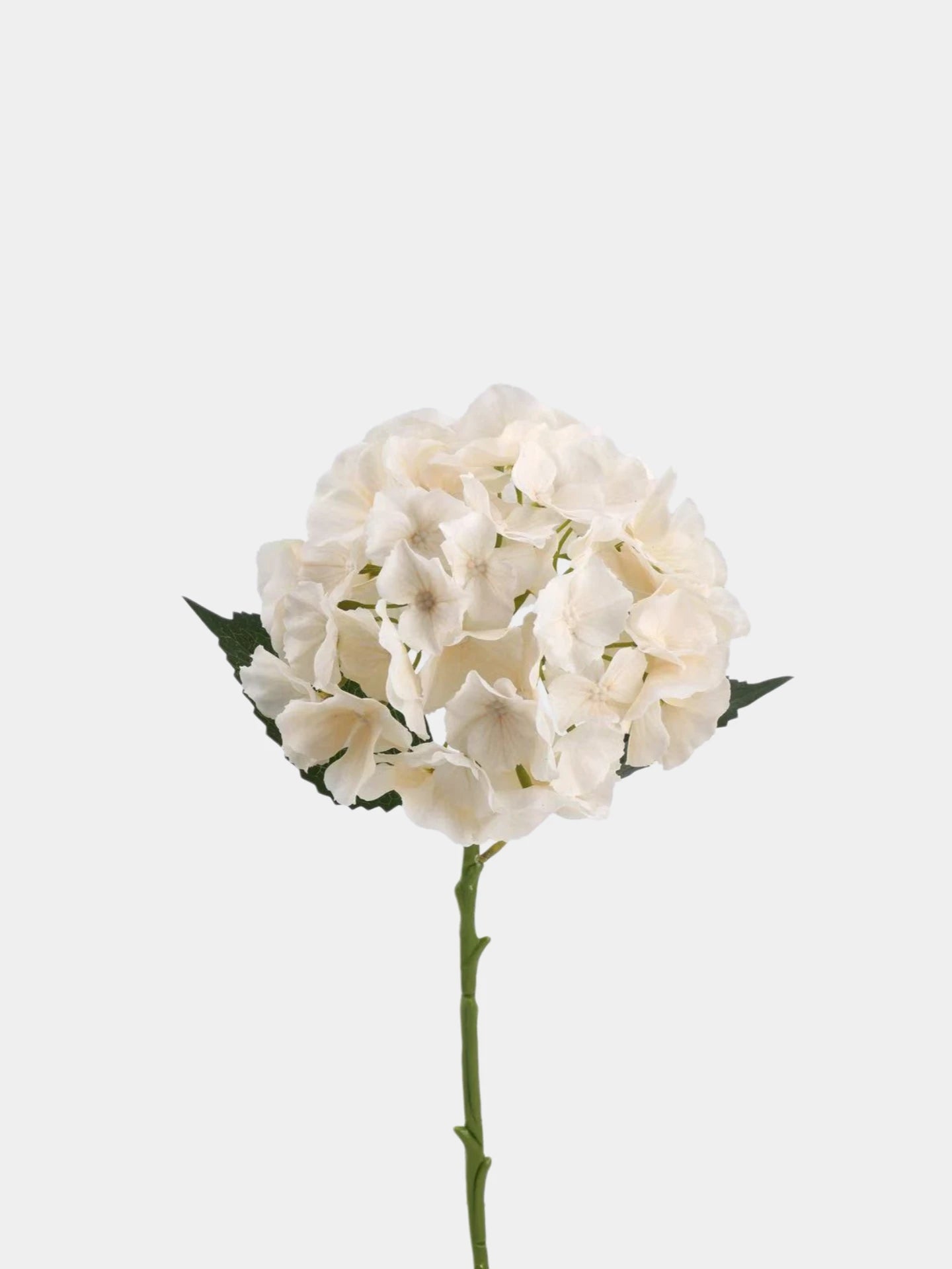 Real Touch Maillard Hydrangea Flower Stem – 20"/52cm