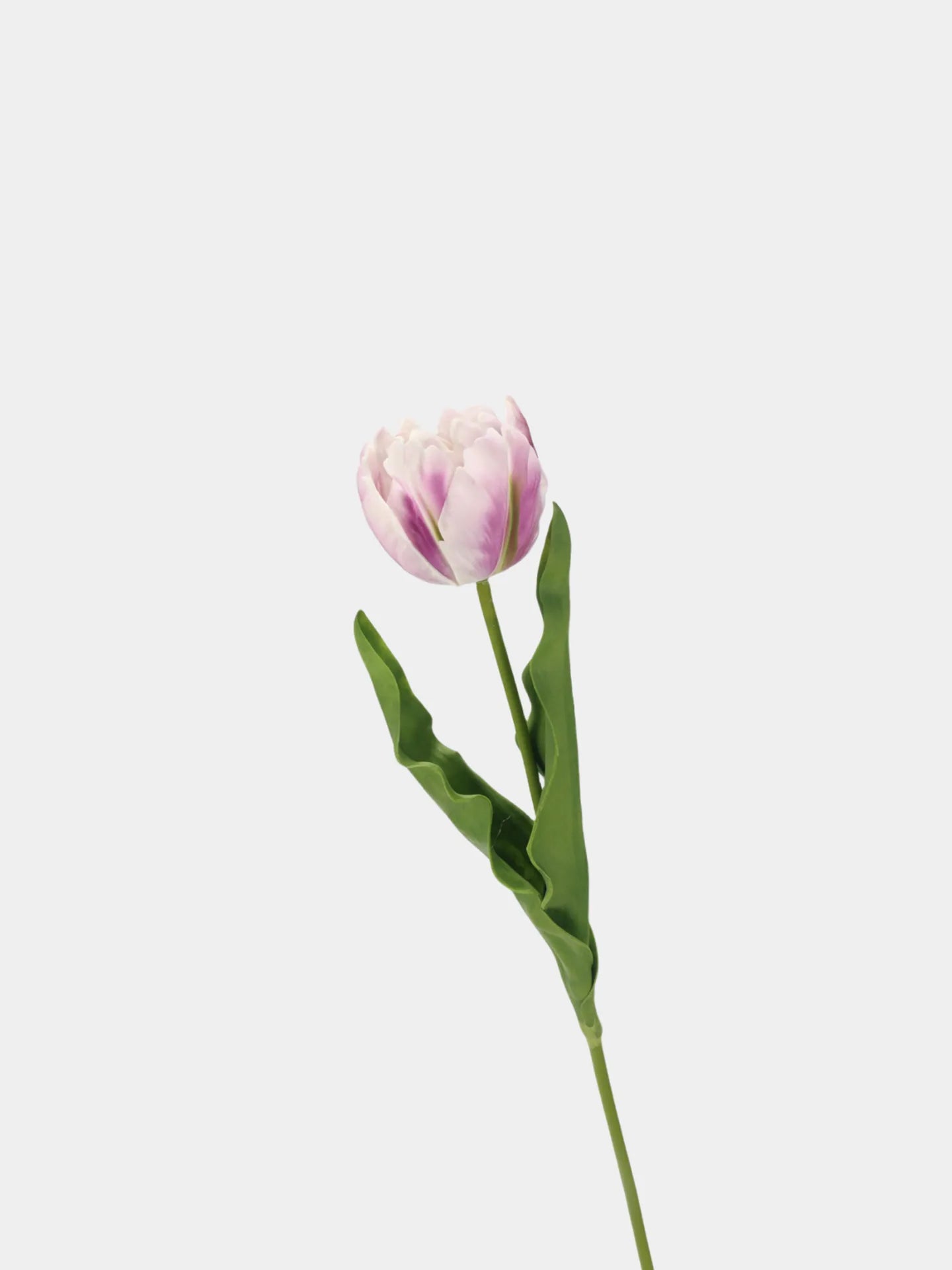 Real Touch Parrot Tulip Flower – Light Purple 23.6"