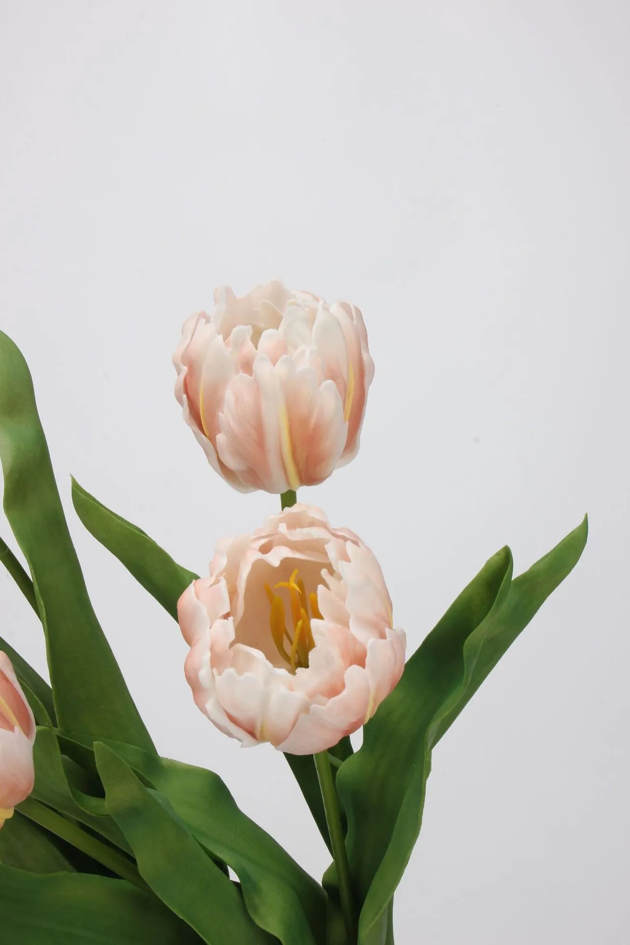 Real Touch Parrot Tulip Flower –Peach Pink 23.6"