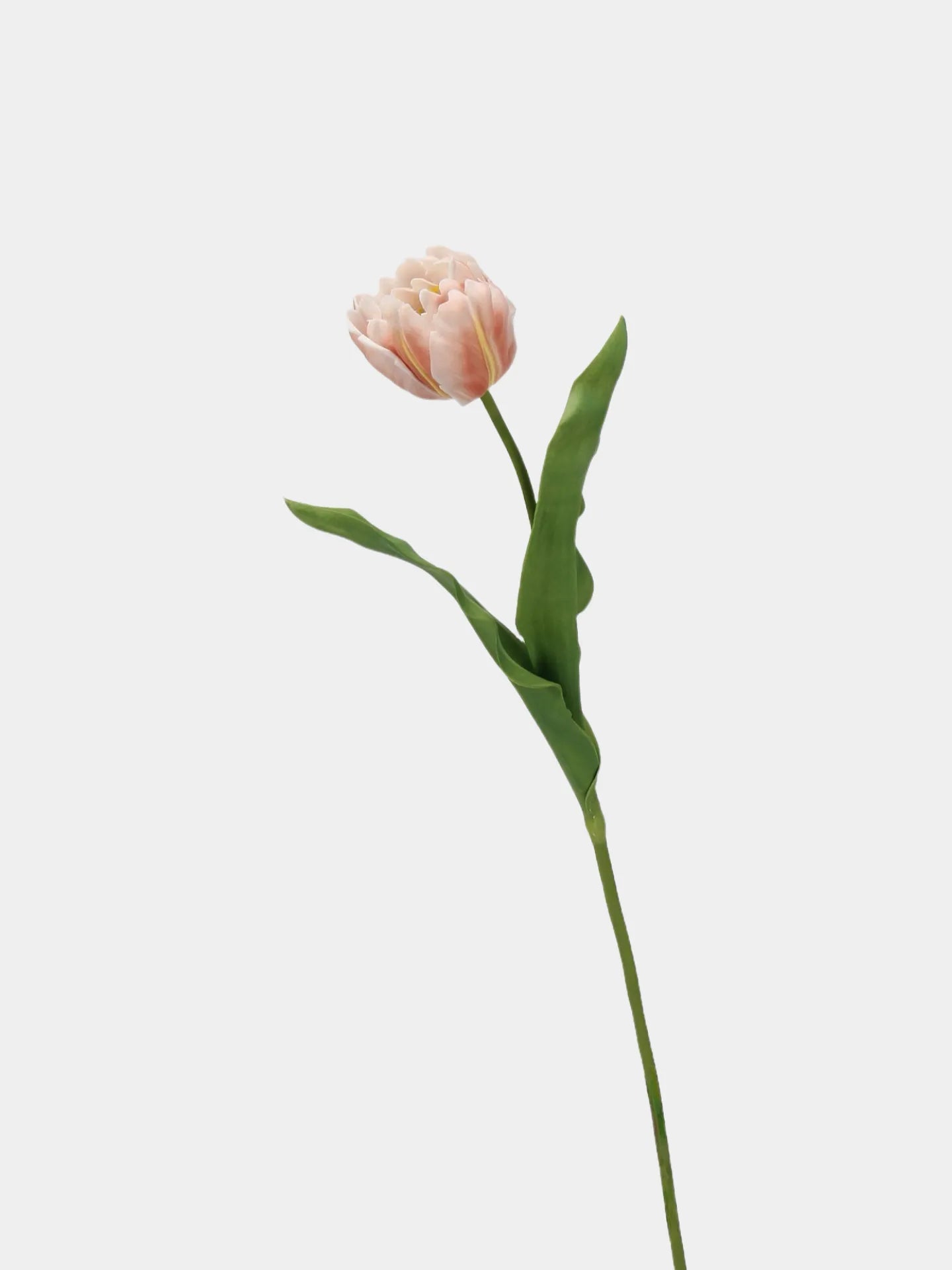 Real Touch Parrot Tulip Flower –Peach Pink 23.6"