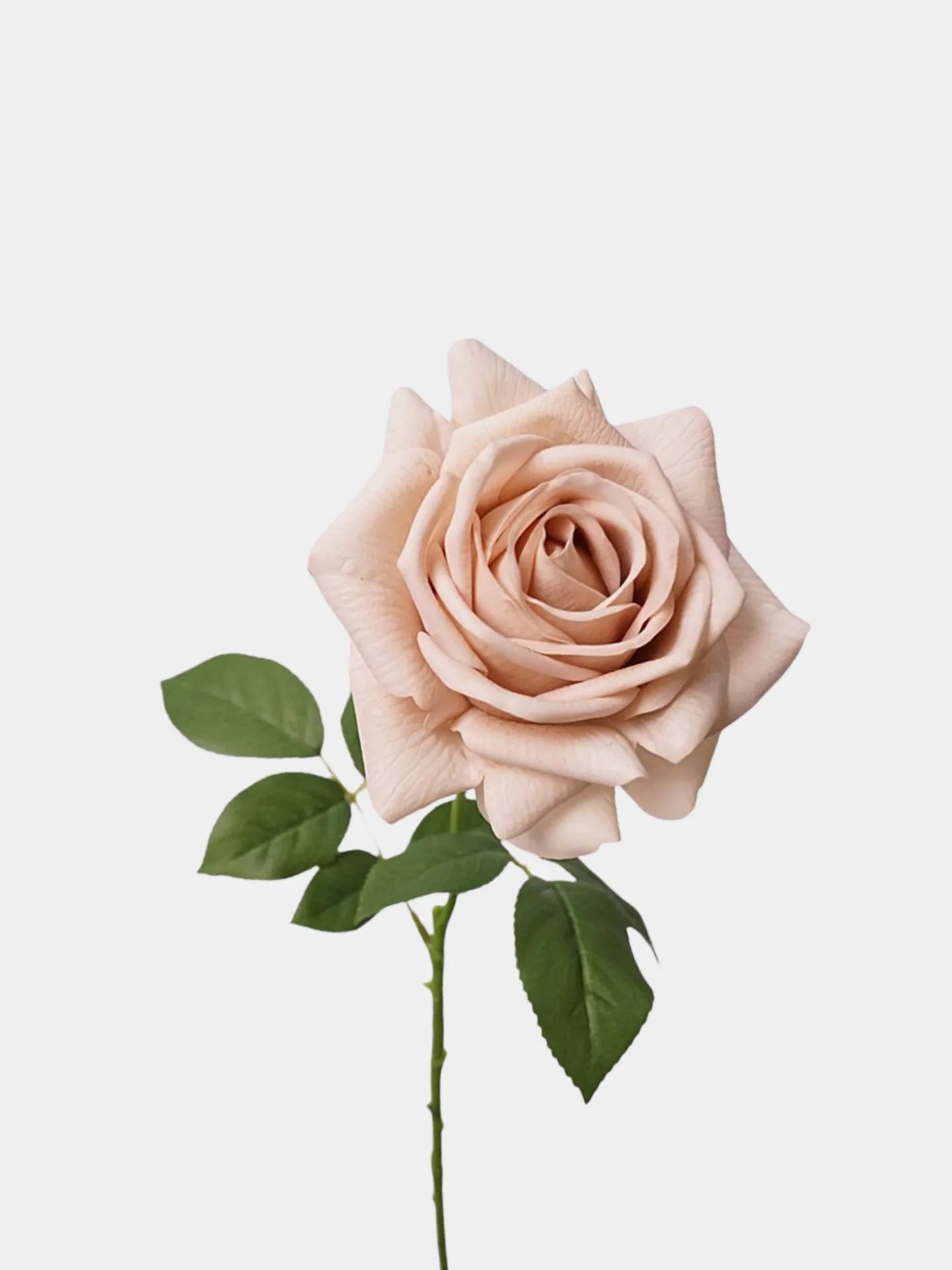 リアルタッチフェイクトルコローズ -26"