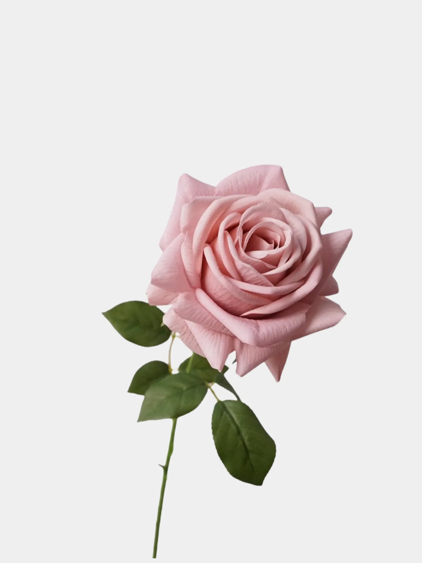 リアルタッチフェイクトルコローズ -26"