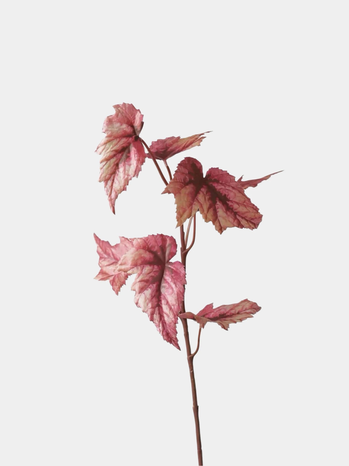 Künstliche Begonienblatt-Spray – 74 cm