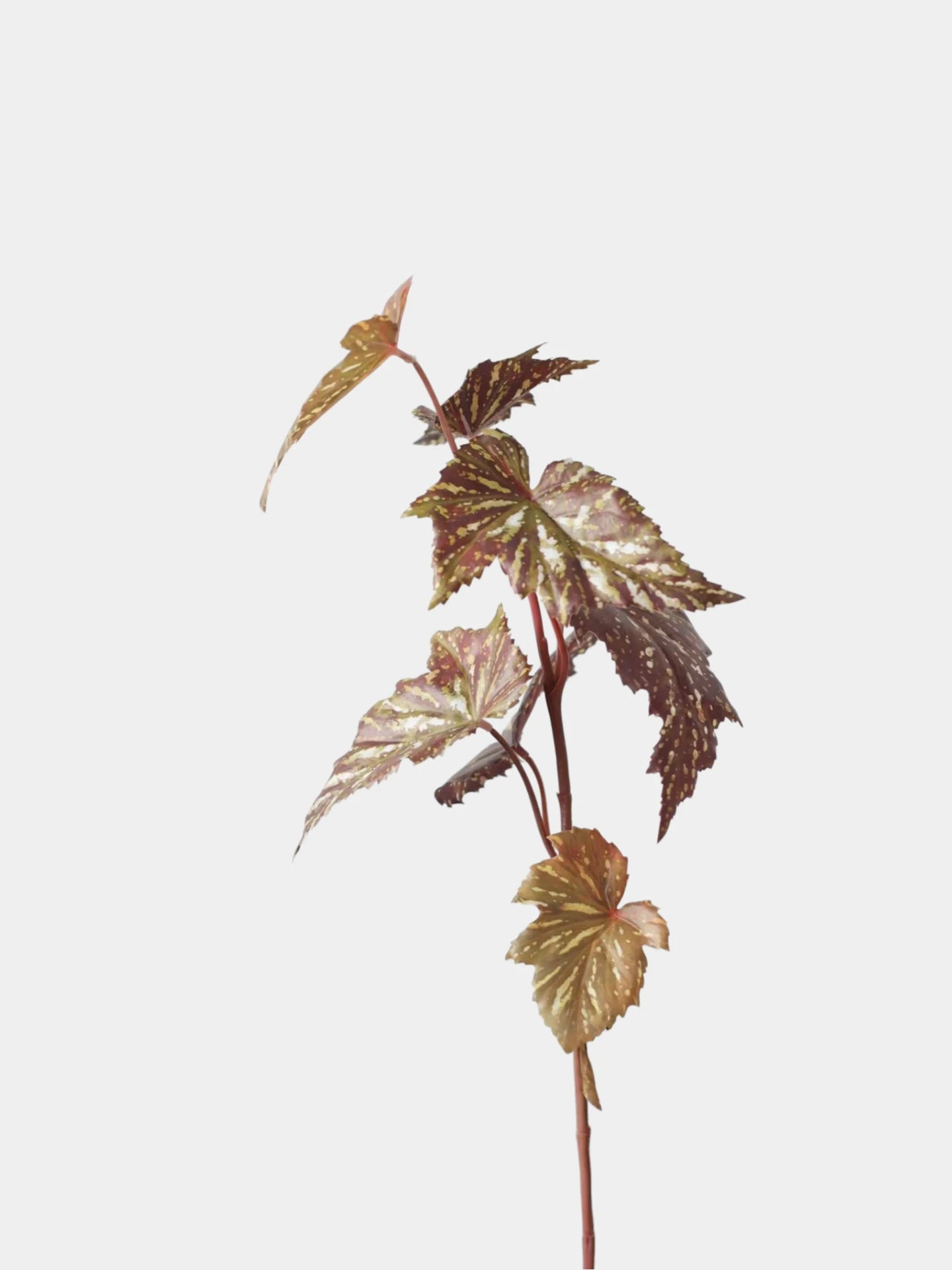 Künstliche Begonienblatt-Spray – 74 cm