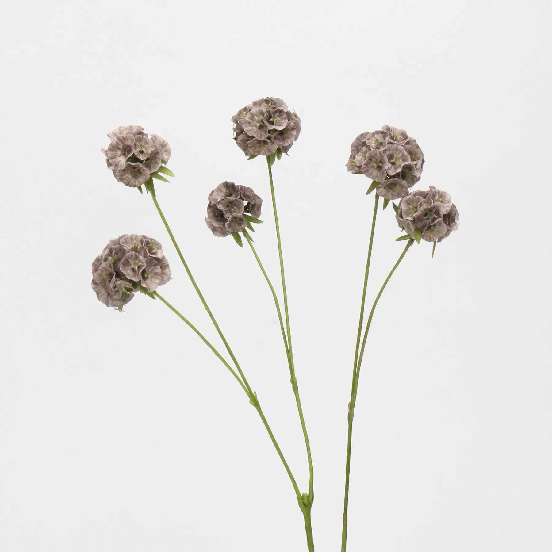 Faux Scabiosa Seed Pod Flower -Brown 24.8"