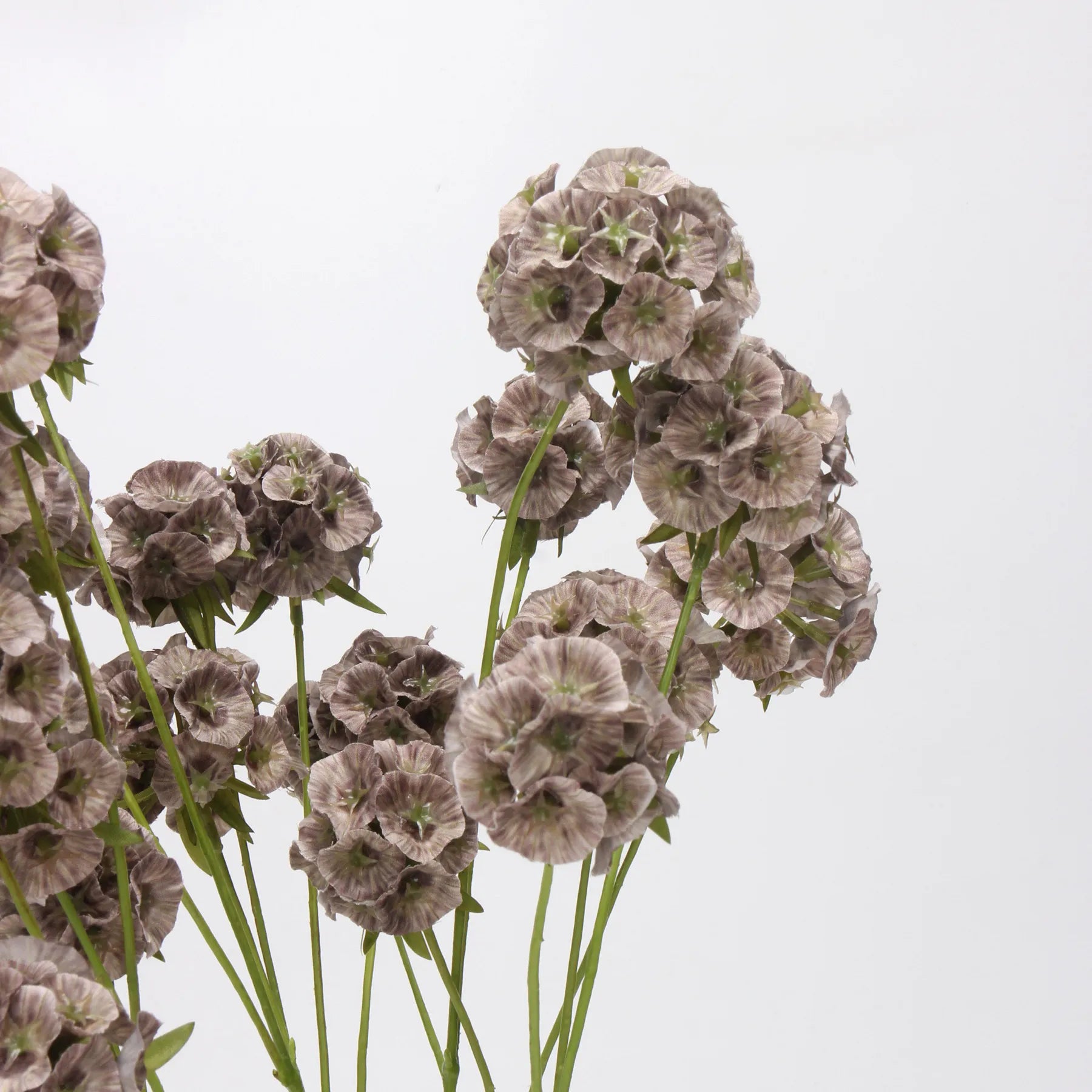 Faux Scabiosa Seed Pod Flower -Brown 24.8"