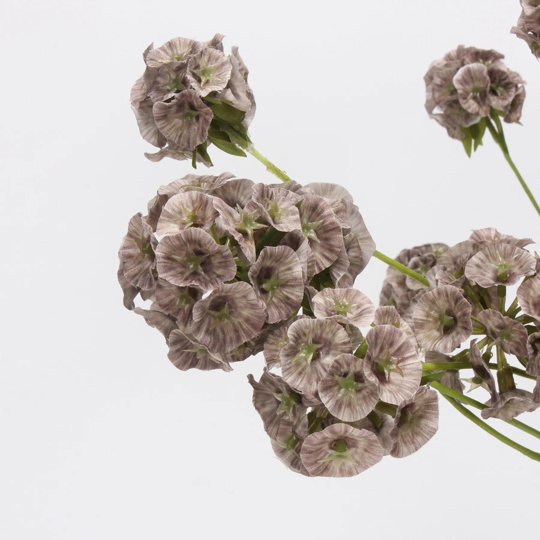 Faux Scabiosa Seed Pod Flower -Brown 24.8"