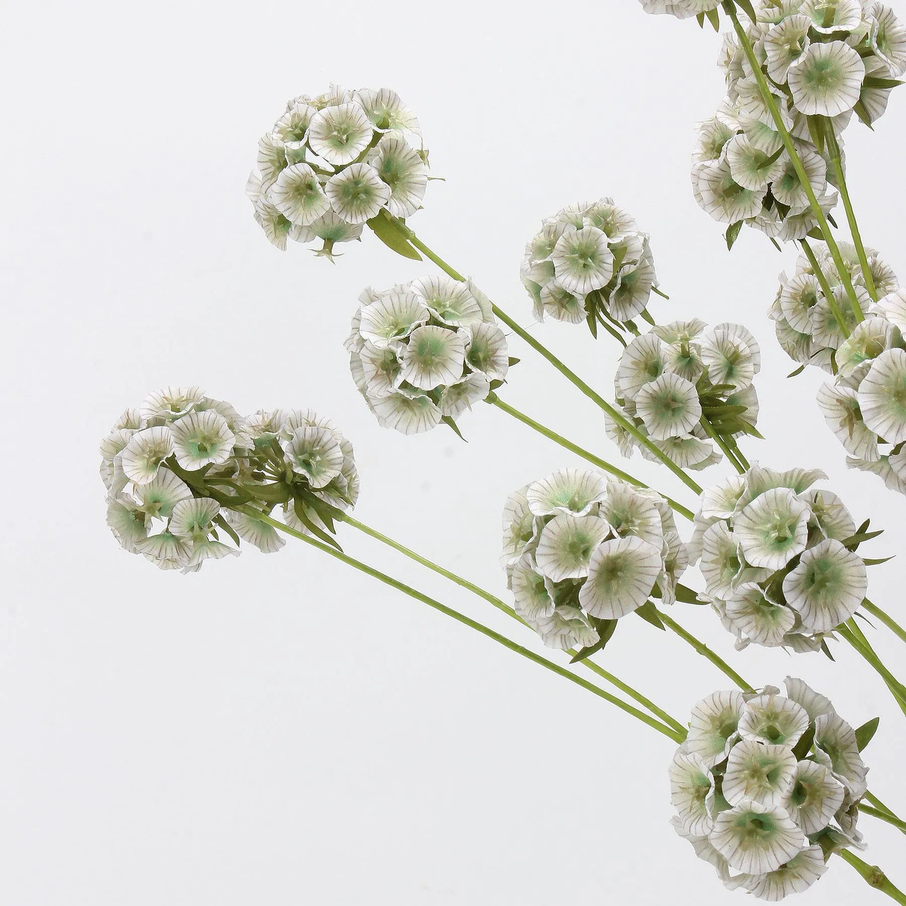 Faux Scabiosa Seed Pod Flower -Green/White  24.8"