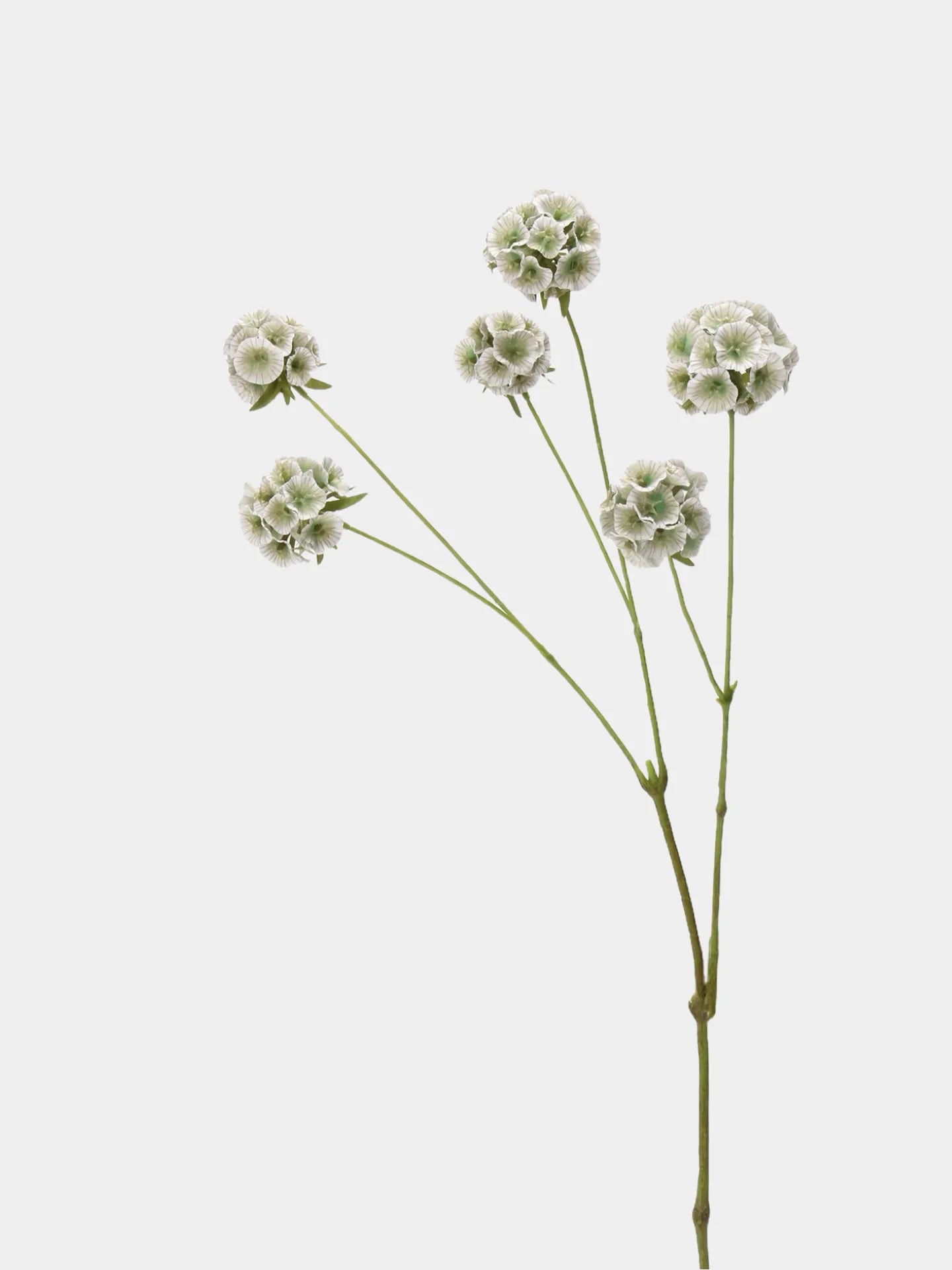 Faux Scabiosa Seed Pod Flower -Green/White  24.8"