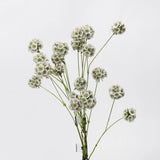 Falsche Skabiose Samenstand-Blume – Grün/Weiß 63 cm