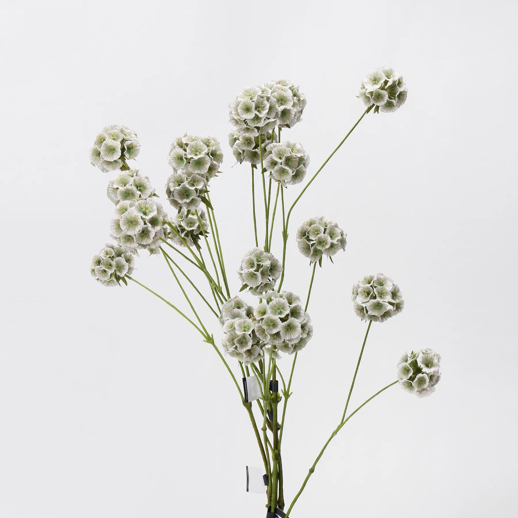 Faux Scabiosa Seed Pod Flower -Green/White  24.8"