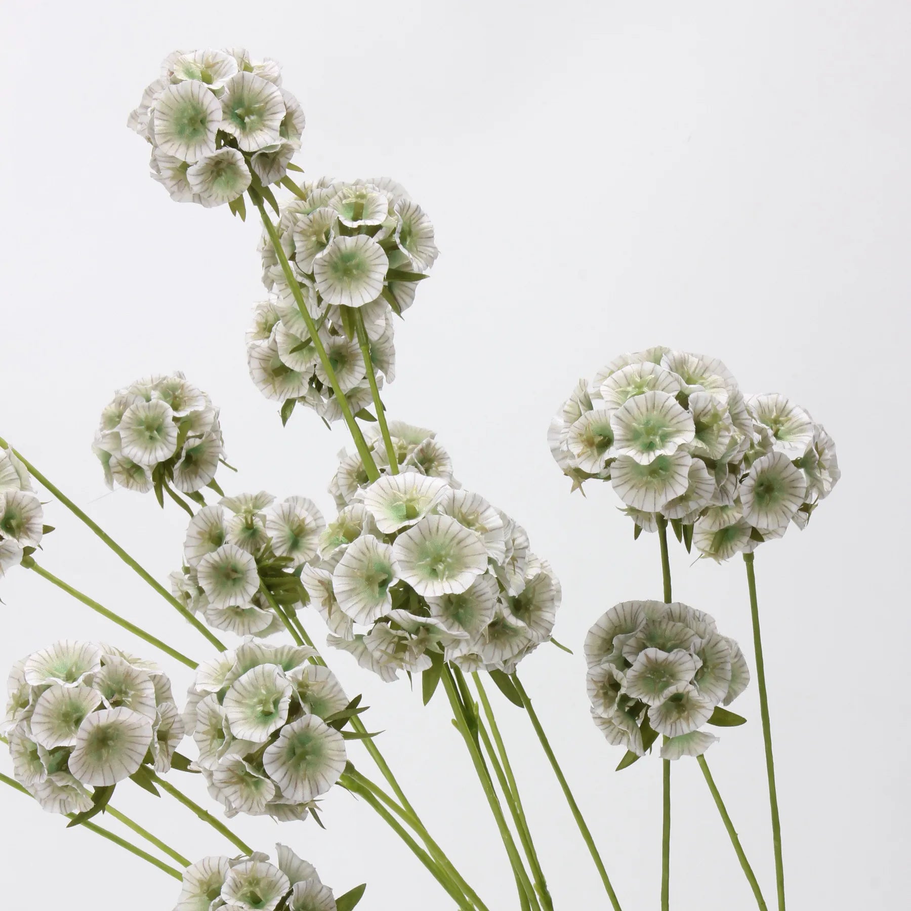 Faux Scabiosa Seed Pod Flower -Green/White  24.8"