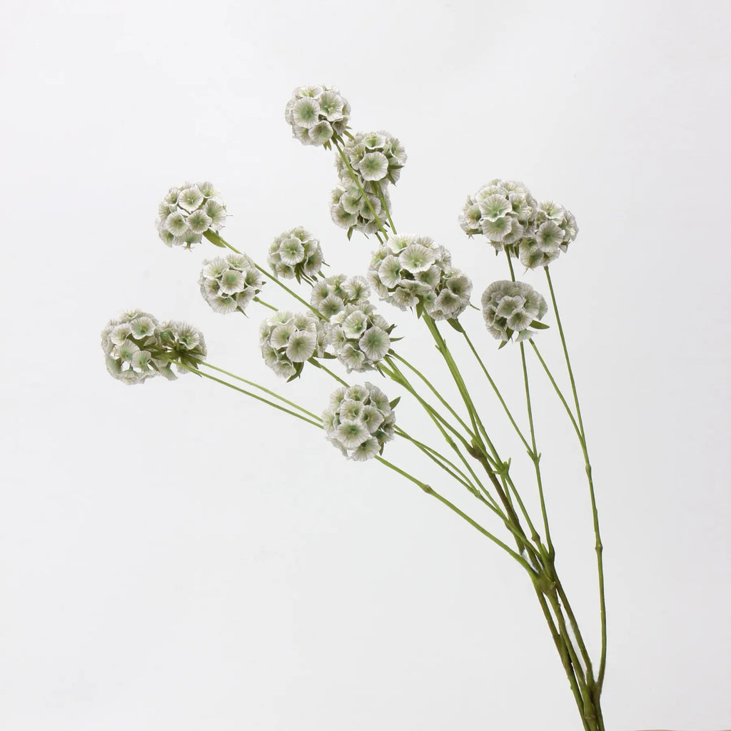 Faux Scabiosa Seed Pod Flower -Green/White  24.8"