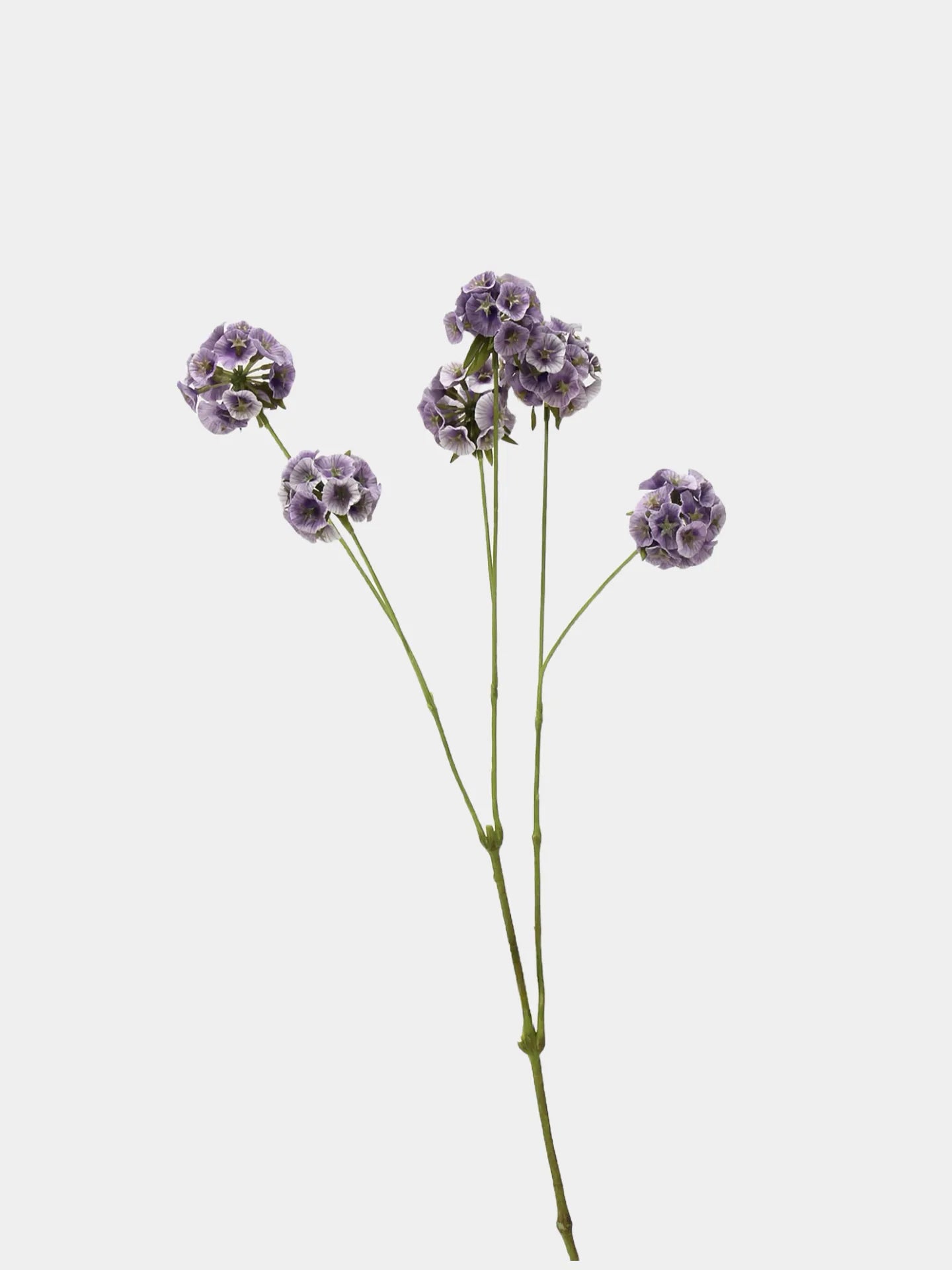 Faux Scabiosa Seed Pod Flower -Purple 24.8"