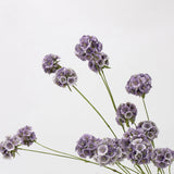 フェイクスカビオサシードポッドフラワー - パープル 24.8"