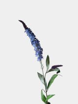 Seiden-Veronica-Stiel mit Stacheln – 76 cm